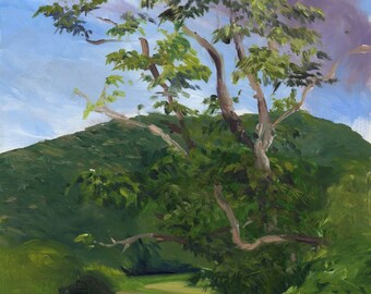 Framed Landscape Oil Painting - Berkshires, Luce Road, Williamstown