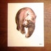 Vintage 1950's Double Sided Bear & Boy Flashcard