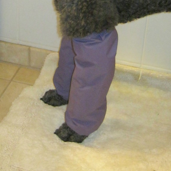 dog leg protectors pee pants leggings large standard poodle