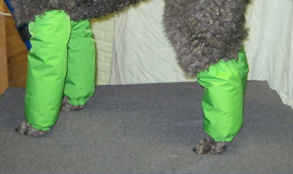 dog leg protectors pee pants leggings gators LG set of 4