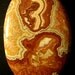 57.60 ct. Rosetta Stone cabochon