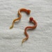 Strawberry Dream 10g gauged ear plugs earrings talons for stretched piercings