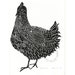 ORIGINAL lino print (Betty's Hen no.2)