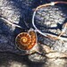 Time -ammonite fossil silver one of a kind necklace