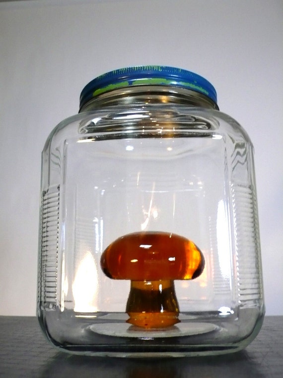 translucent terrarium vintage large APOTHECARY JAR anchor