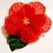 red hibiscus flower clip