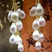 Frosted clear Czech Glass Tear Drop Gold Dangle Earrings