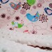 Minky Baby Blanket - Pink Starlings with Cream Minky - Personalization Options Available Available