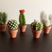 Needle Felted Cactus - Felt Pincushion