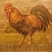 RESERVED FOR VICTORIA Antique French puzzle chromolito with a rooster