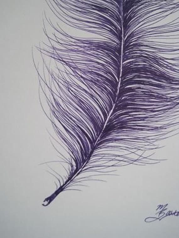 Original purple Ostrich feather drawing