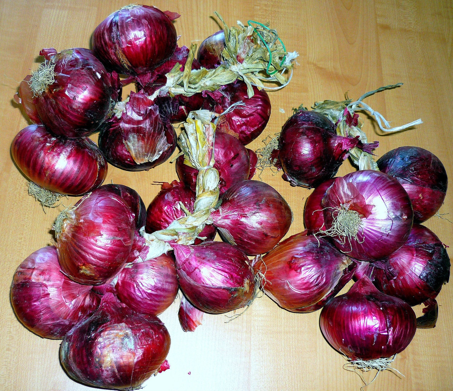 Organic tropea red onion seeds