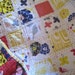 Reserved for Bridget......Butterflies, Birds and Flowers................A Fray Edge Quilt