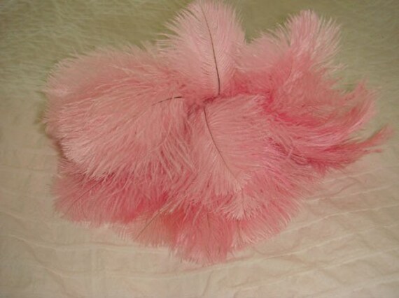 Tickled Pink Ostrich Feather Duster by UnnecessaryNecessity
