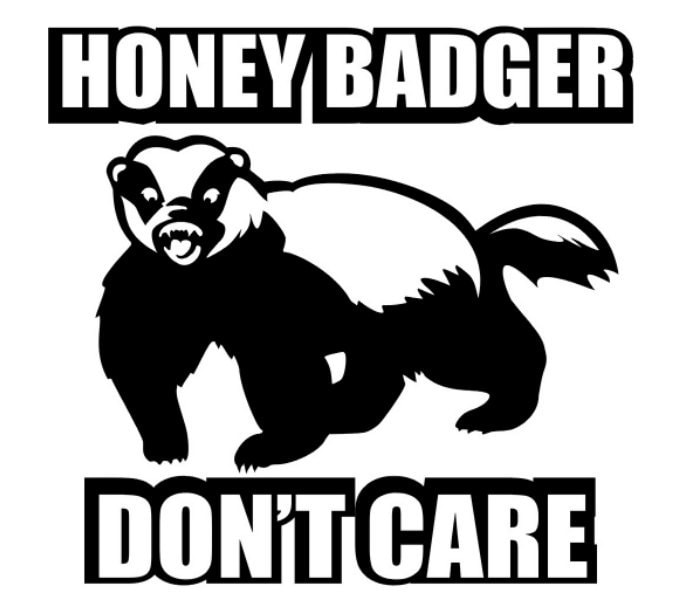 Honey Badger Dont Care Vinyl Decal Stickers Apple Macbook