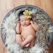 Leighton Heritage - Soft, Cozy, Cuddly Faux Fur Nest - Perfect Newborn Photography Prop - Plush Long Pile