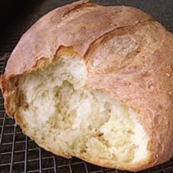 Authentic San Francisco Extra Sour Sourdough Starter