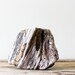 Natural Driftwood