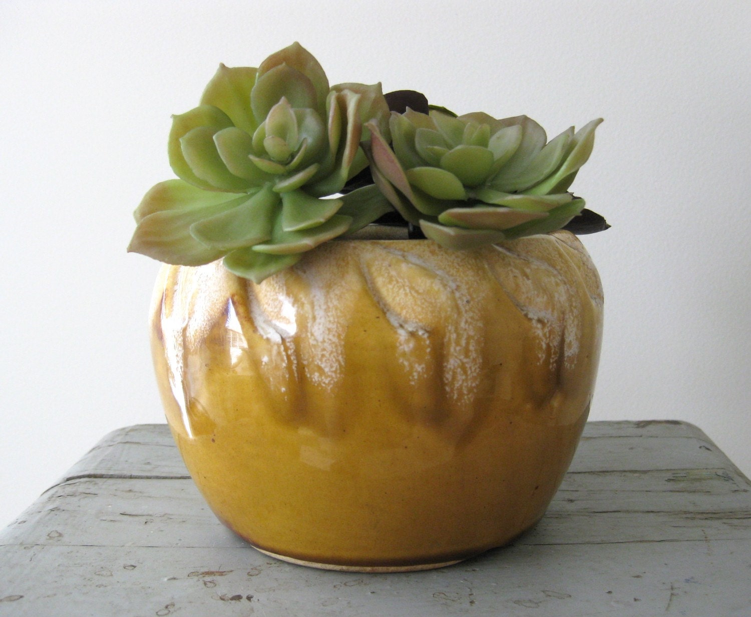Yellow Ceramic Planter by PineandMain on Etsy