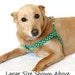 Large Step In Dog Harness - Shamrock
