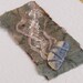 Seashore Art Handmade Card with Shell Fragment