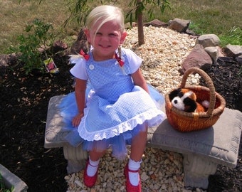 DOROTHY costume/Wizard of Oz Inspired Costume/Dorothy Tutu Costume