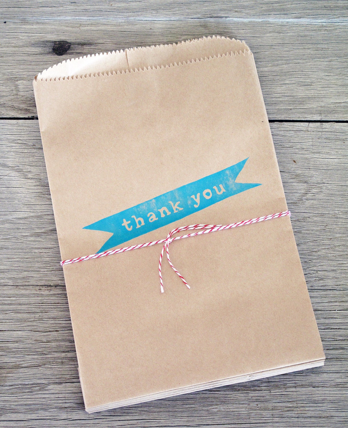 Kraft Paper Bags Thank You Set of 12 . Party Favor Bags