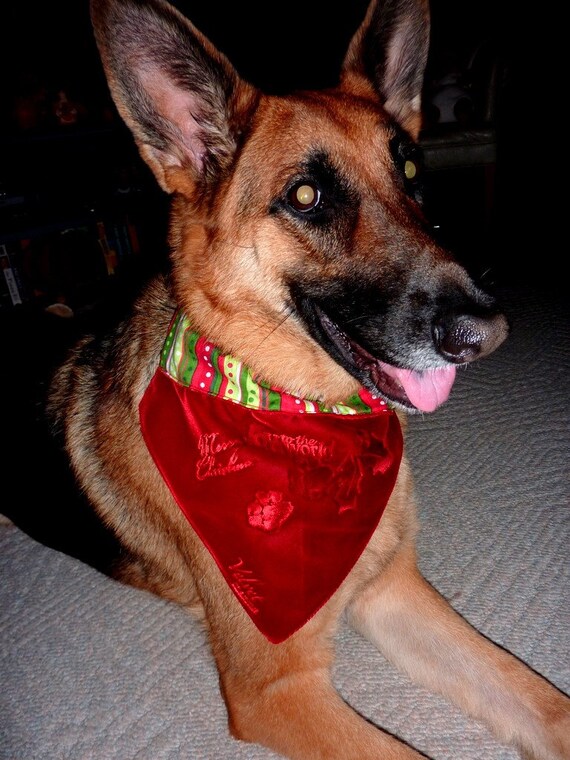 Items similar to Velvet Dog Bandana Christmas Over Collar Custom