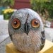 Hand Painted 3D Owl pet Rock River rock art home garden decor paperweight
