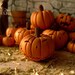 Jack O Lantern (A) - HALLOWEEN RANGE