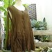 Sleeveless Cotton Top - Brown
