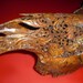 Beautifully Carved Water Buffalo Skull - Reserved Listing