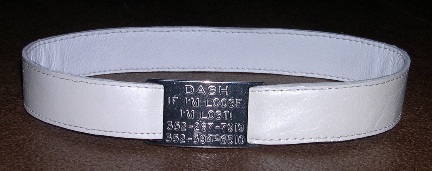 Leather Custom Tag Collar for Greyhounds Pearl