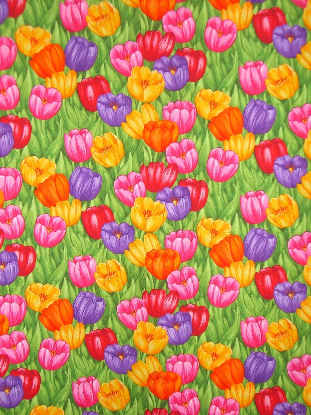 Cheerful Tulip  Print Cotton Fabric  from Timeless