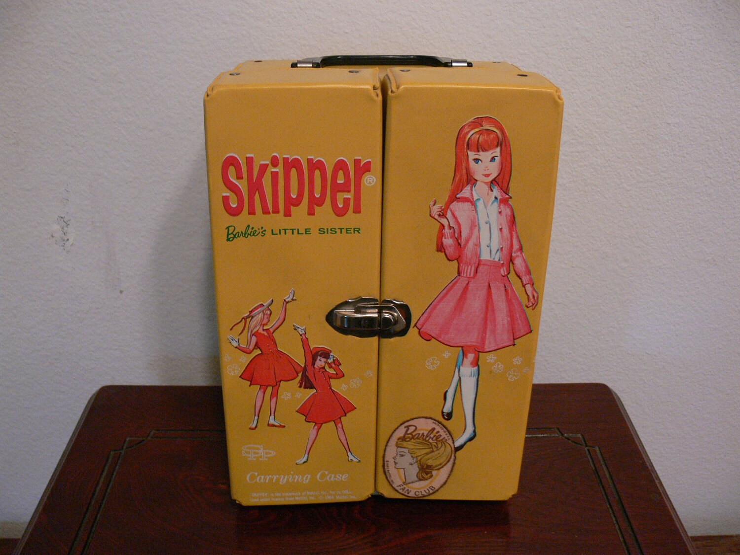 skipper carrying case