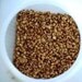 6 oz Scented Corn Cob Vanilla Lace