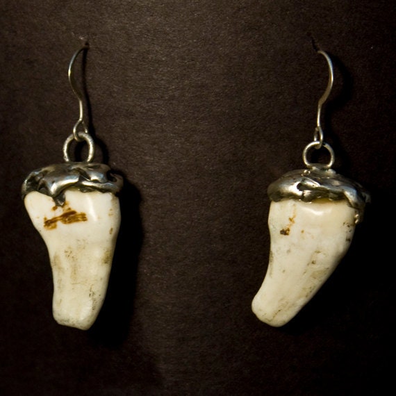 Elk Tooth Ivory Earrings with Sterling Silver by thirdrockjewelry