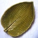 Twisted Olive Ceramic Leaf Dish