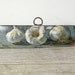 vintage painting, garlic-original art