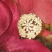 Cupcake Ring
