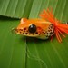 Handmade - Small Blue Poison Frog TopWater Fishing Lure