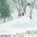 Birches in Winter, Original Watercolor, 12" x 17.5"