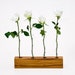 Wood Vase Reclaimed Wood Decorative Bud Vase Centerpiece VIOLET (Limited Edition)