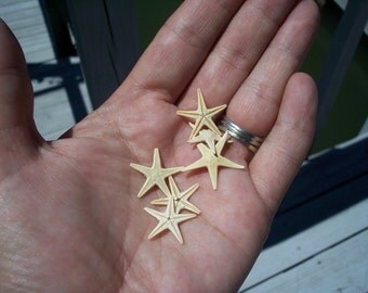 Mini Small Natural Tan Flat Starfish/ Lockets DIY Frame Accents Table Scatter Confetti Tiny Bottle Arts Crafts Supplies Coastal Home Decor