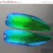 JEWEL Beetle Wings. 12 pcs. Drilled. Bead. eLeCtRiC bLuE gReEn. Peacock Colors.