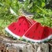 Summer Watermelon Slices