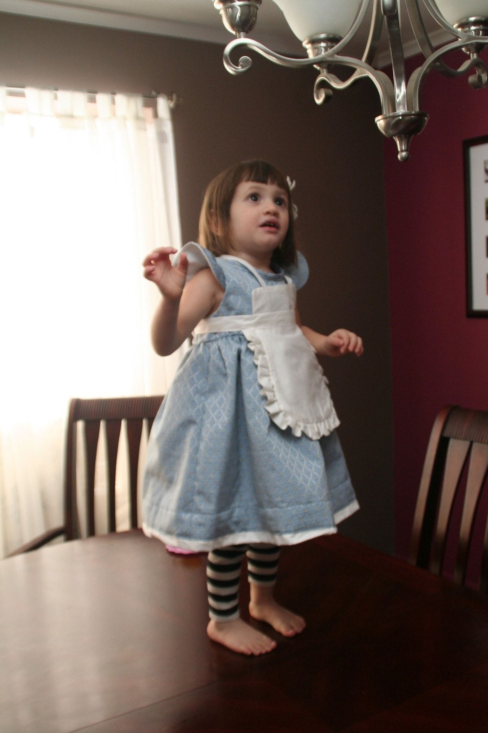 Alice In Wonderland Costume   Party Dress