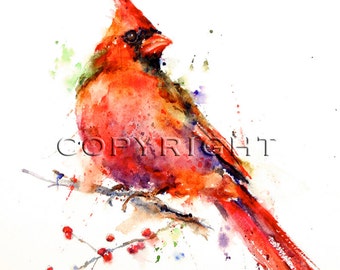 CARDINAL Watercolor Bird Art Print, Cardinal Painting, by Dean Crouser