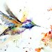 SONGBIRD and HUMMINGBIRD Set of 4 Ceramic Coasters