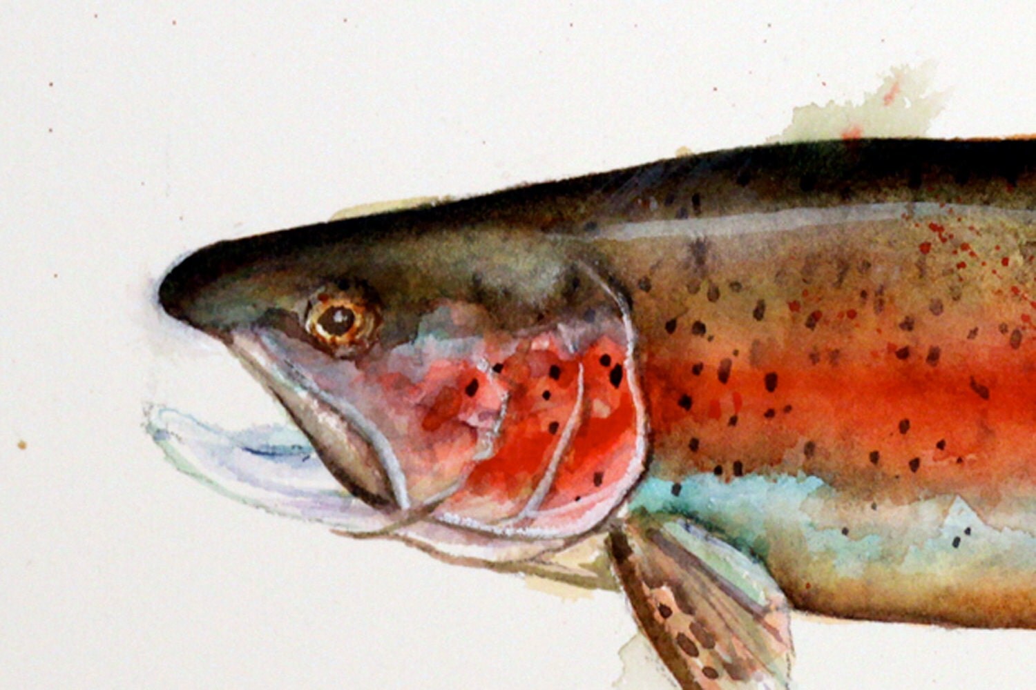 RAINBOW TROUT Original Watercolor Painting By Dean Crouser